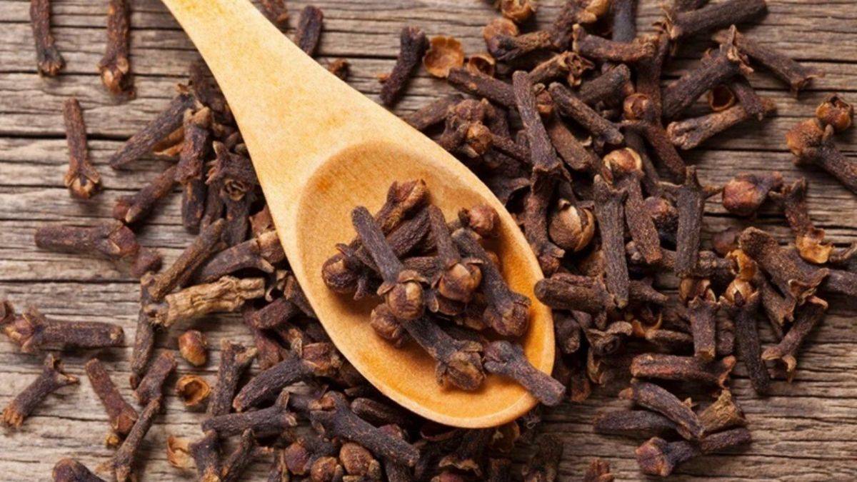 Çiğnedikten sonra karanfil yutulabilir mi?