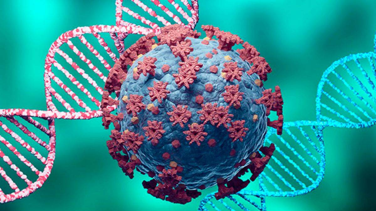 Bilim insanları Covid-19'u ağır geçirme riskini artıran gen keşfetti