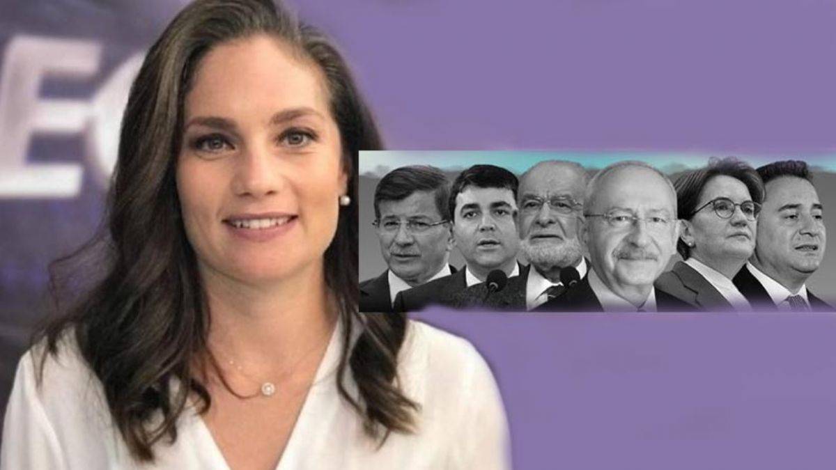 Nevşin Mengü'den 'Millet İttifakı'na eleştiri: İşler hiç de öyle süt liman değil