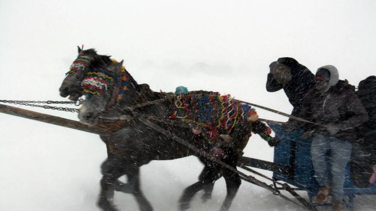 ''Eskimo usulü'' balık avlayan CHP'li başkanlar tipiye yakalandı