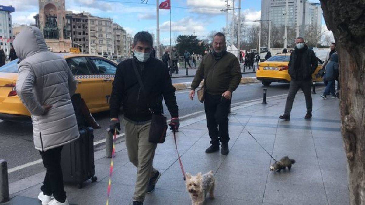 Gelinciğe tasma takıp Taksim’de gezdirdi; görenler şaşkına döndü