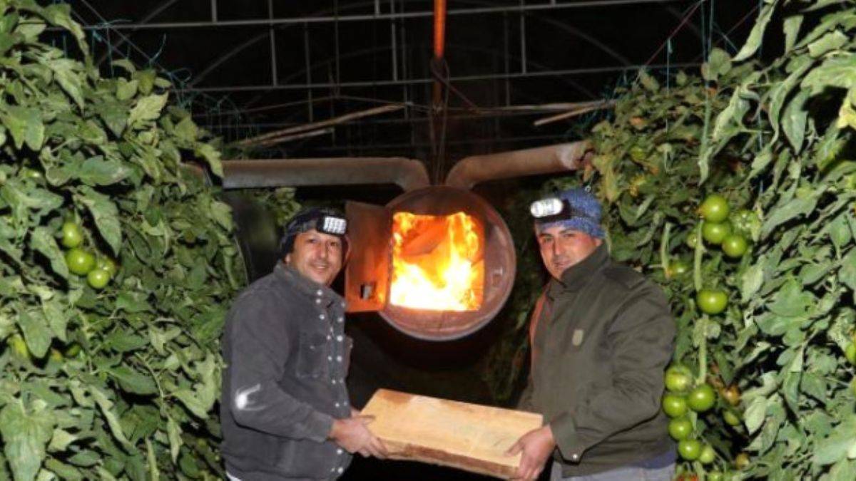 Süs Balıklarına Don Nöbeti