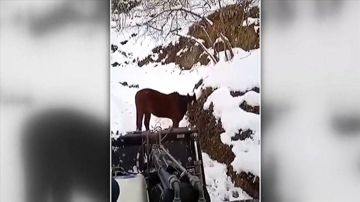 Karla mücadele eden operatörün atla sohbeti gülümsetti