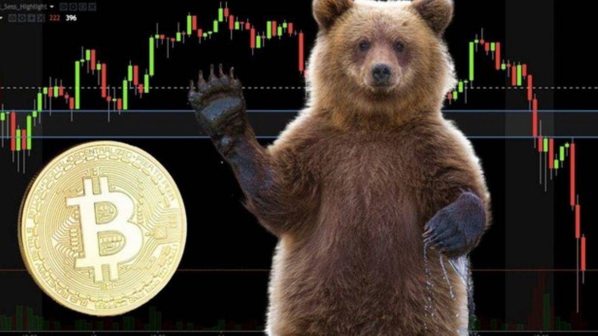 BTC düşerken altcoin toplamak mantıklı mı?