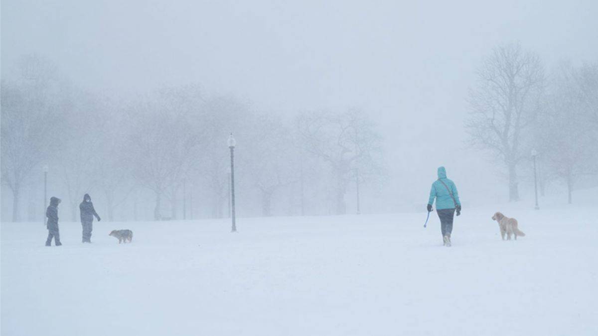 ABD'de kar fırtınası: 100 binden fazla kişi elektriksiz kaldı