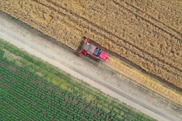 Tarımsal desteklere 3,2 milyar liralık ilave kaynakta öncelik stratejik ürünlerin