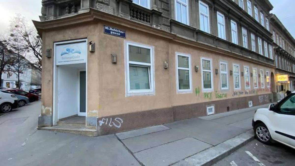 Viyana'da camilere saldırdılar