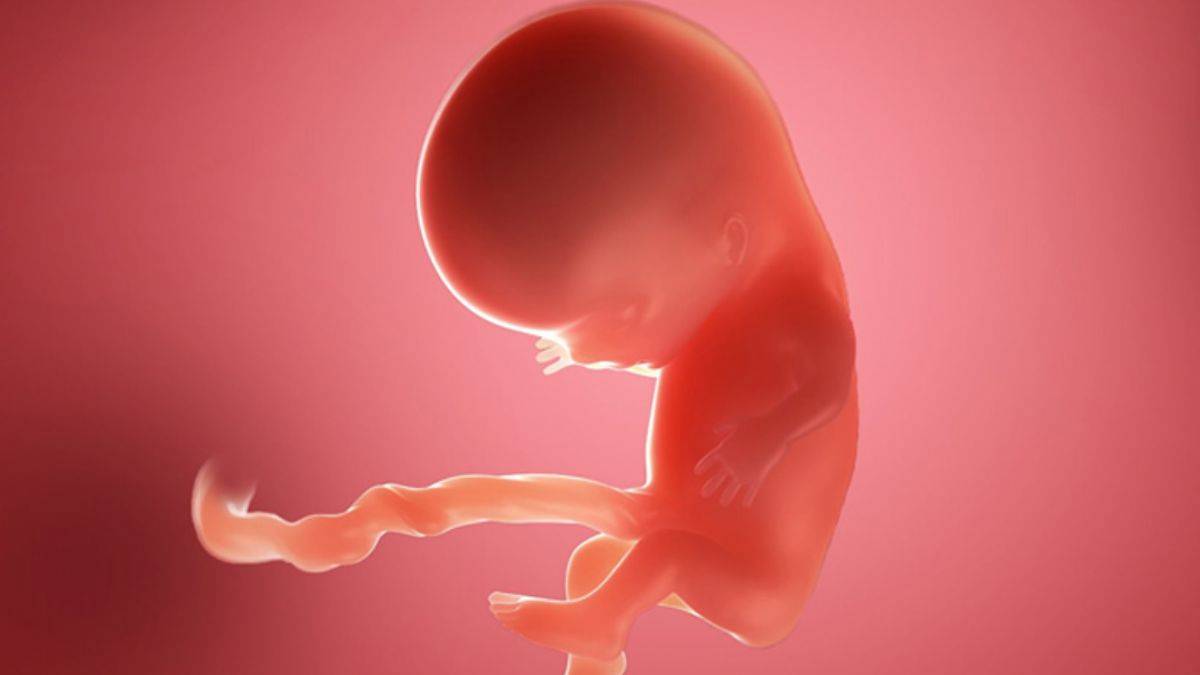 Tıp tarihinde bir ilk! Hamilelik tarih mi oluyor?