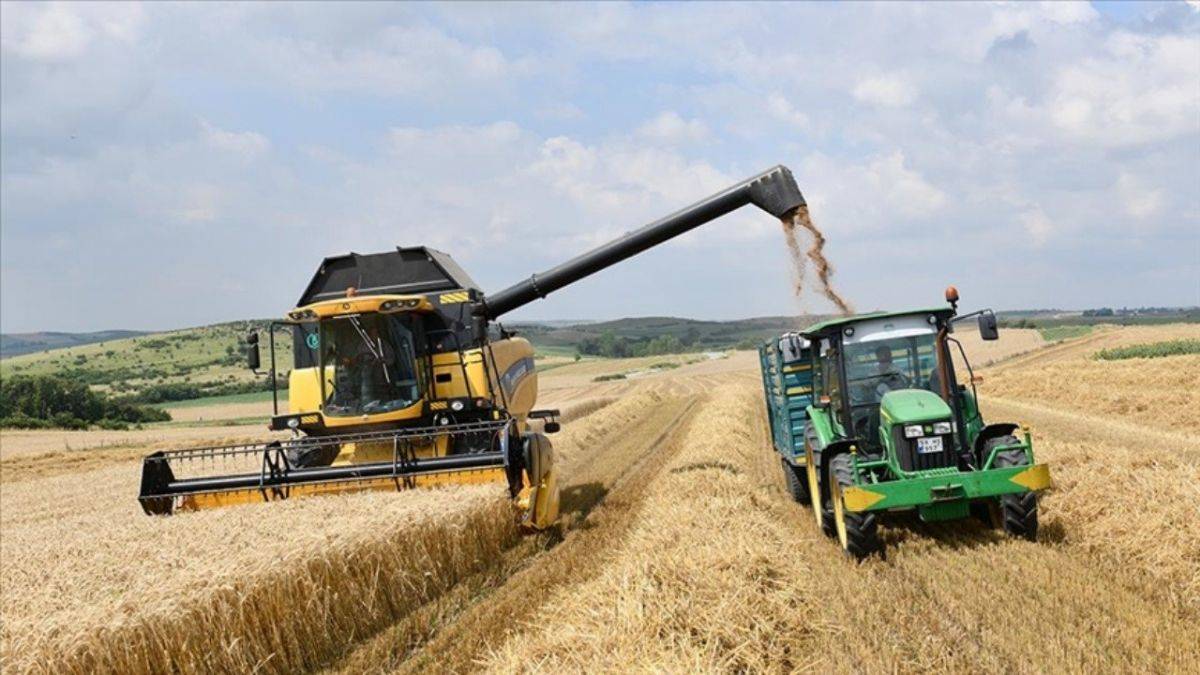 Tarım Kredi danışmanlık hizmeti alacak