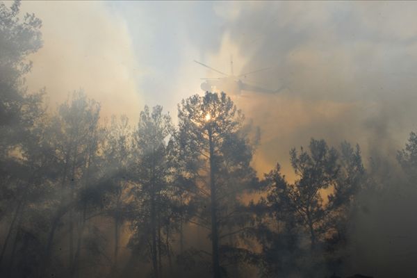 Orman yangınlarına 'yapay zeka' ile anında tespit