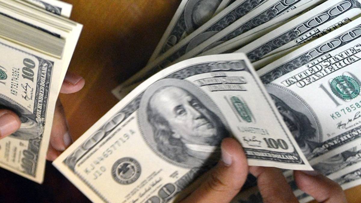 Merkez Bankası’ndan BOTAŞ'a rekor döviz satışı