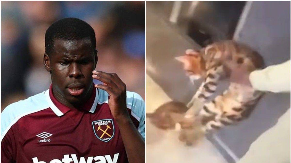 Futbolcu Zouma hakkında 'kediye eziyet' soruşturması