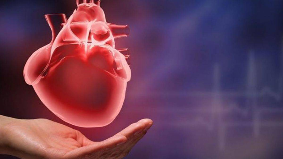 Kalp sıkışması için hangi bölüme gidilir? Kalp sıkışmasına hangi doktor bakar? Kalp sıkışması nedenleri