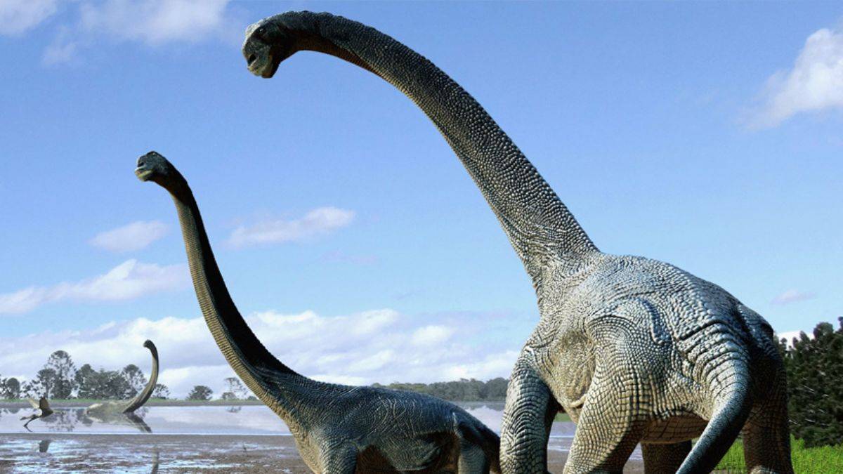 150 milyon yıllık dinozorda akciğer hastalığı tespit edildi