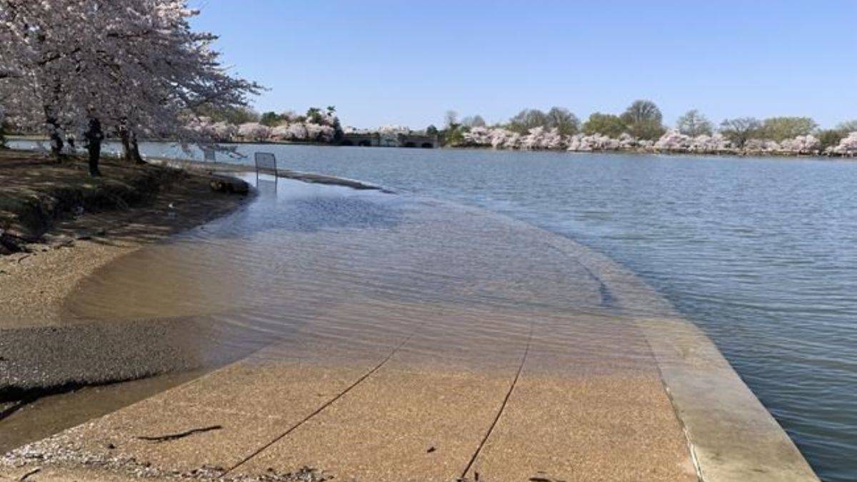 ABD için felaket uyarısı! Deniz seviyesi yarım metre yükselecek