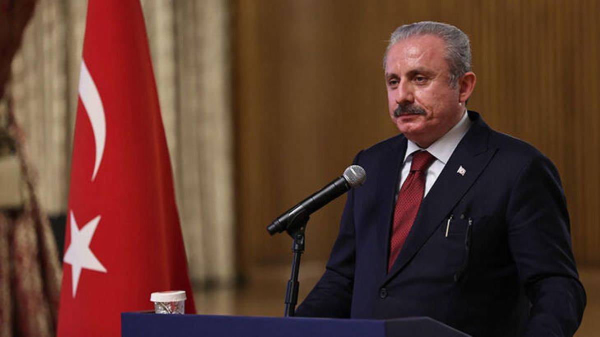 Şentop, Rumeli ve Balkan dernek yöneticilerini kabul etti