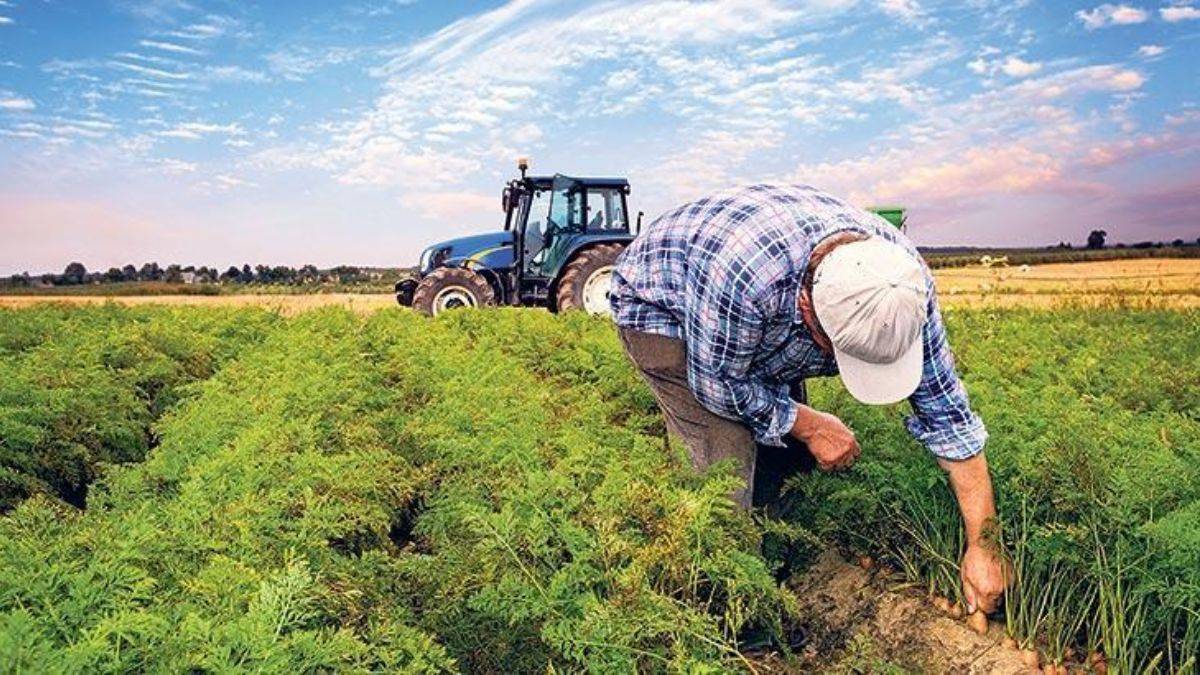 Gübre fiyatları ne kadar düştü? ETİ gübre fiyatlarını düşürdü! Hangi gübre ne kadar?