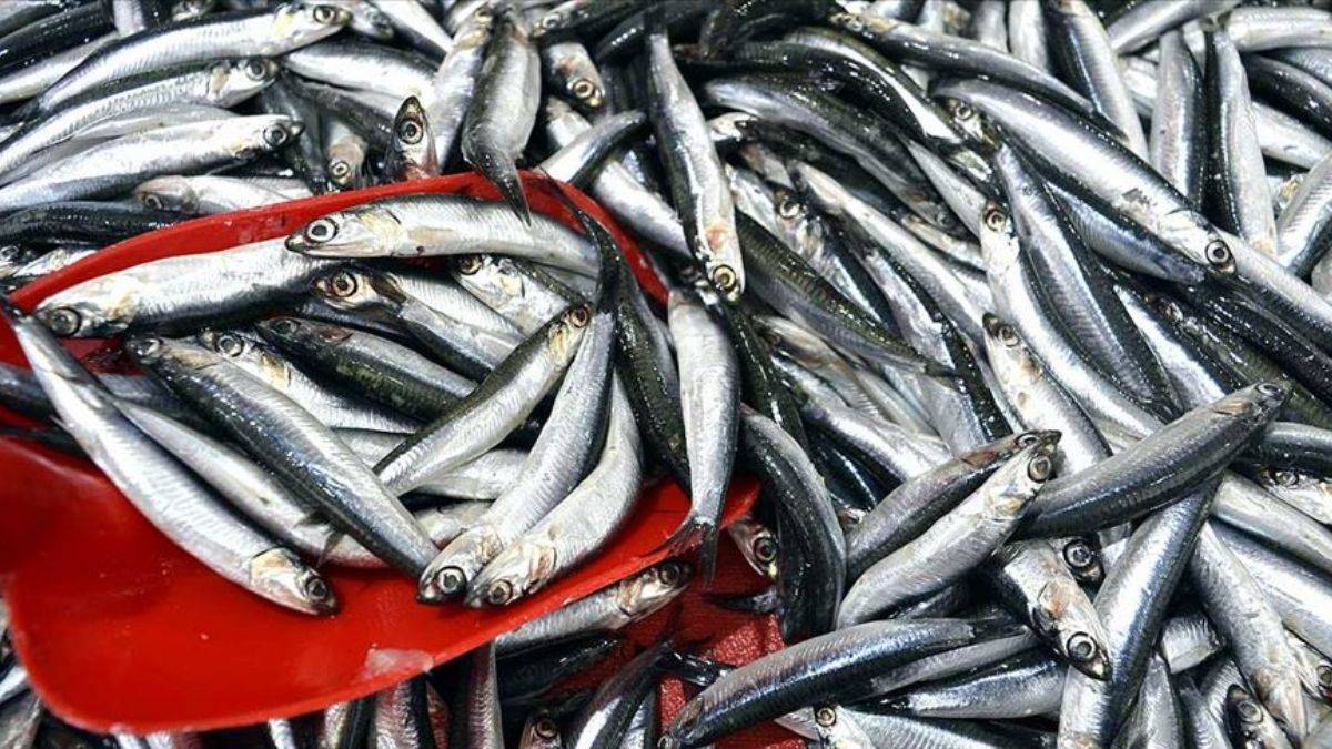 Olumsuz hava şartları fiyatları yükseltti!