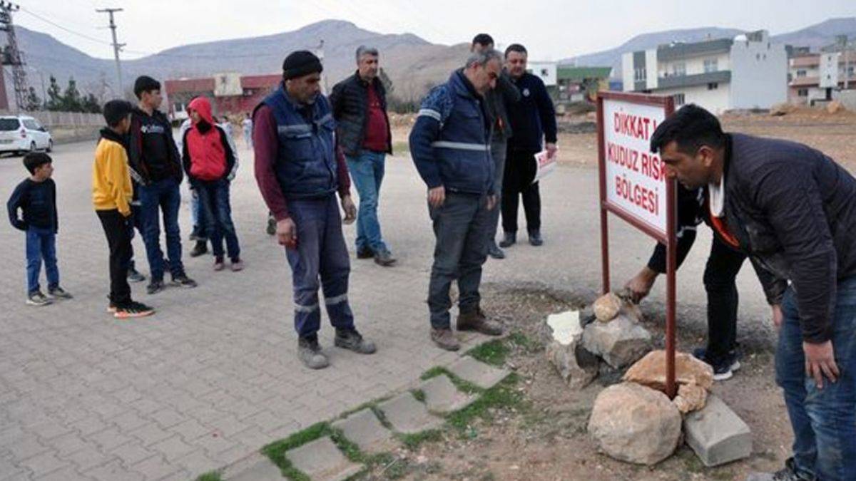 7 kişiyi ısıran köpek kuduz çıktı; mahalle karantinaya alındı