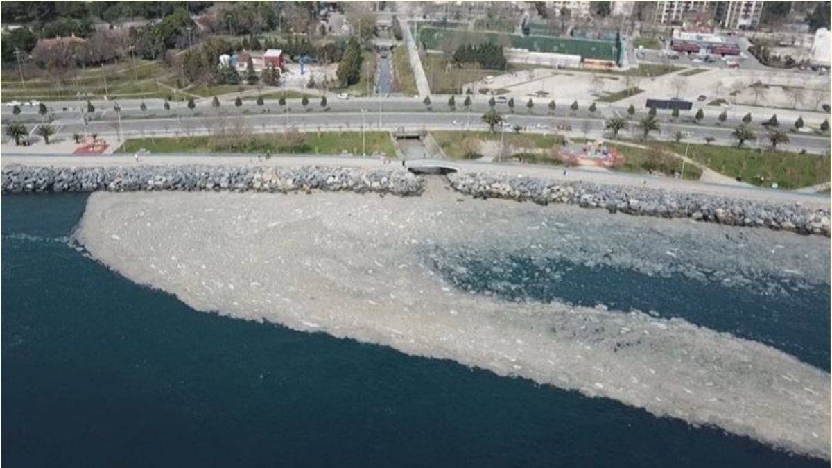 Marmara Denizi'nde müsilaj sorunu çözüldü mü? Marmara Denizi'nde müsilaj mı çıktı?
