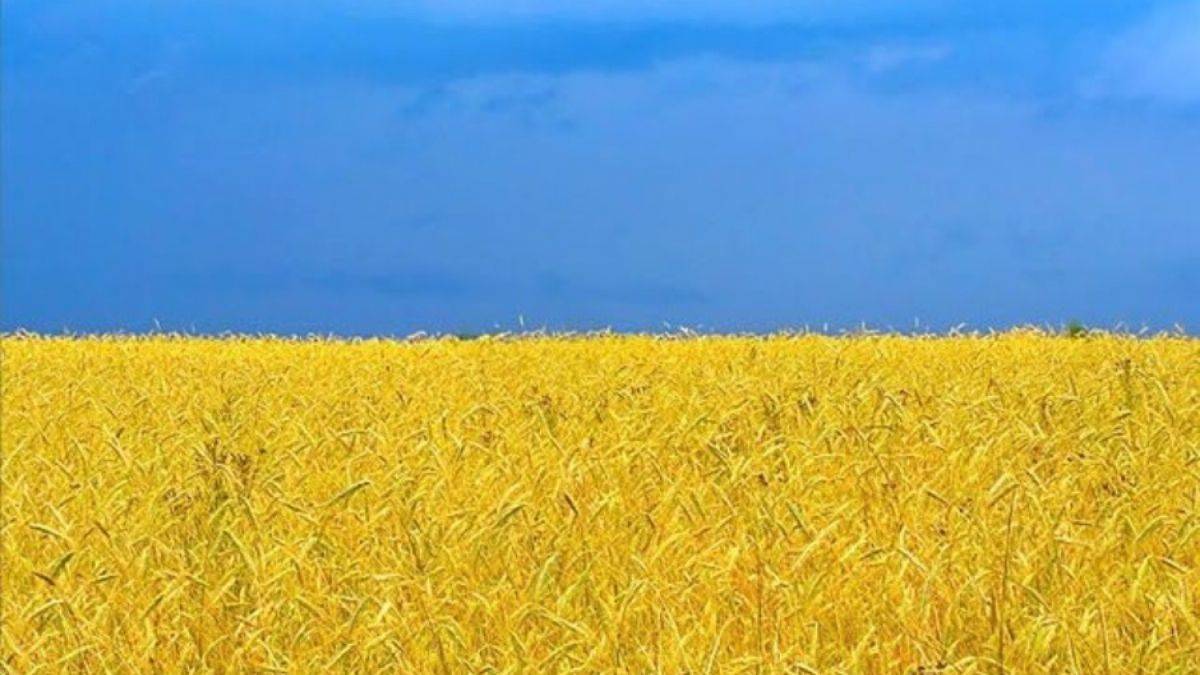 ANALİZ: Avrupa’da kıtlık kapıda