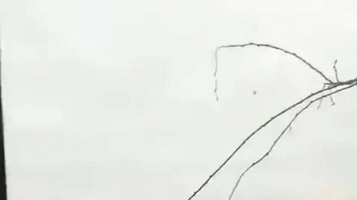 Rus uçakları sivilleri vuruyor