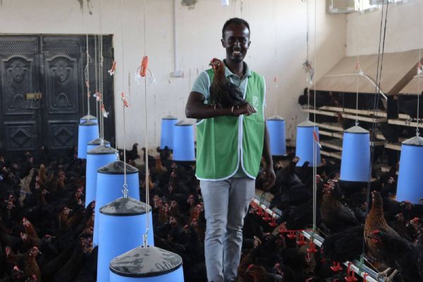 Somali'deki yumurta üretim tesisine destek