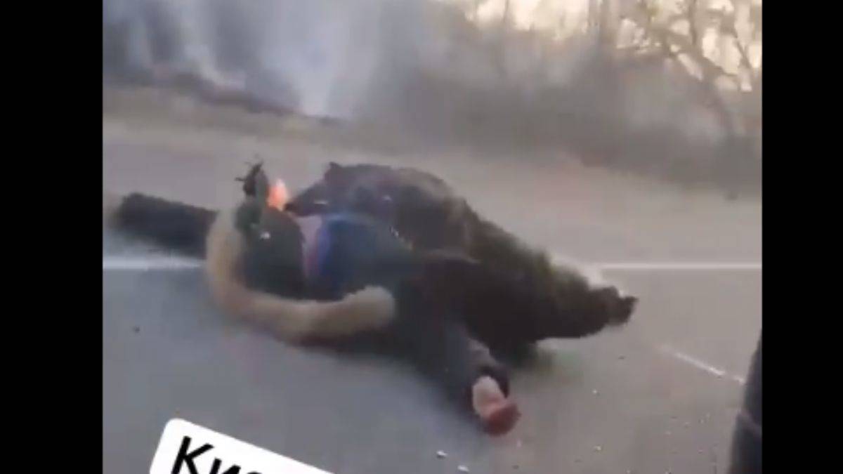 Ukrayna: Babası oğlunun gözleri önünde vuruldu