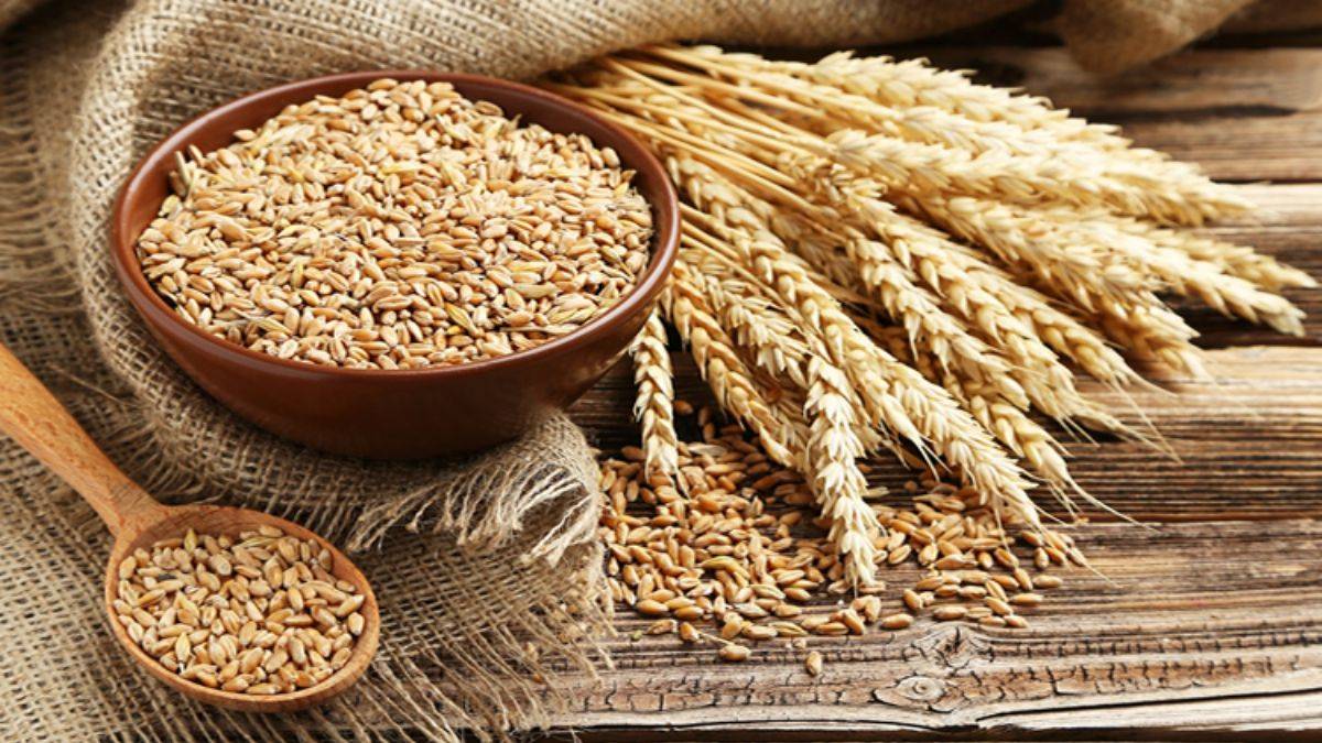 Buğday fiyatları ne kadar arttı? Rusya Ukrayna savaşı buğday fiyatlarını vurdu