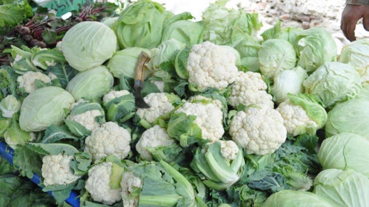 Şubatta fiyatı en fazla artan karnabahar oldu