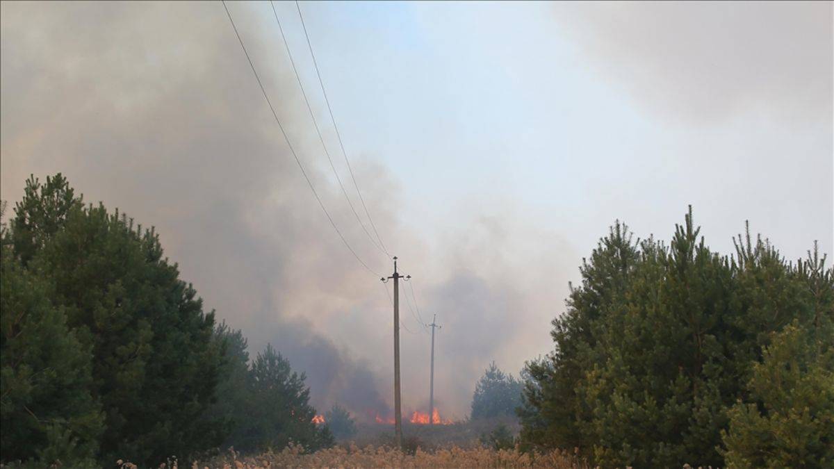 Ruslar, Ukrayna'da Zaporijya Nükleer Santrali yakınında