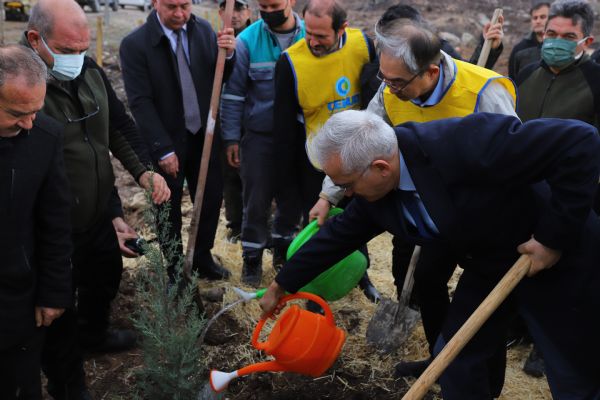 Türkiye - Kore dostluğu 580 bin fidanla kökleşti