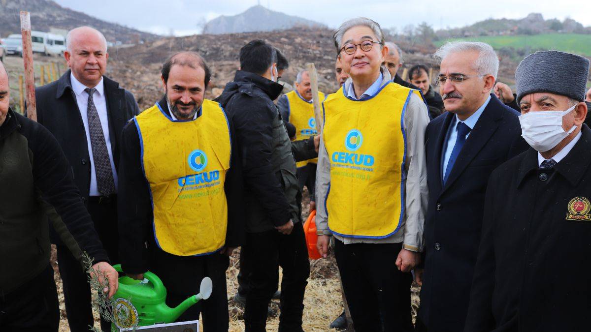 Türkiye - Kore dostluğu 580 bin fidanla kökleşti