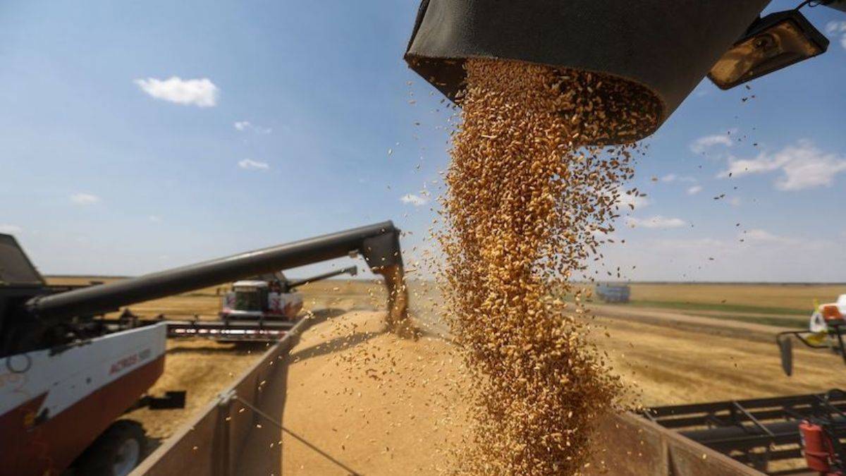 Buğday fiyatları yüzde 40'ın üzerinde artarak 12 doları aştı