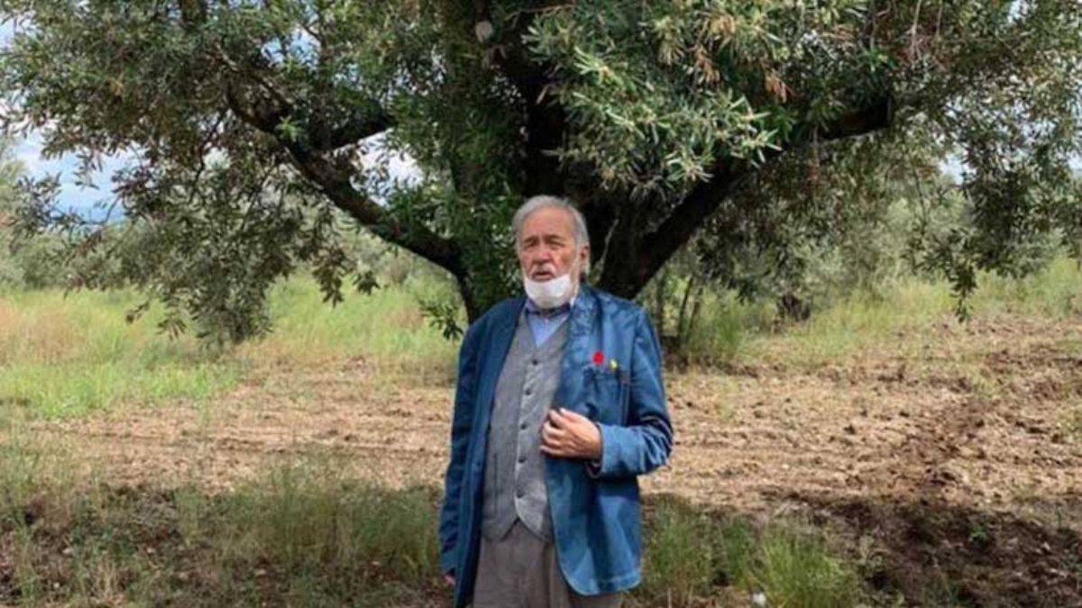 Prof. Dr. Ortaylı: Zeytinlik yönetmeliğinin iptali şart