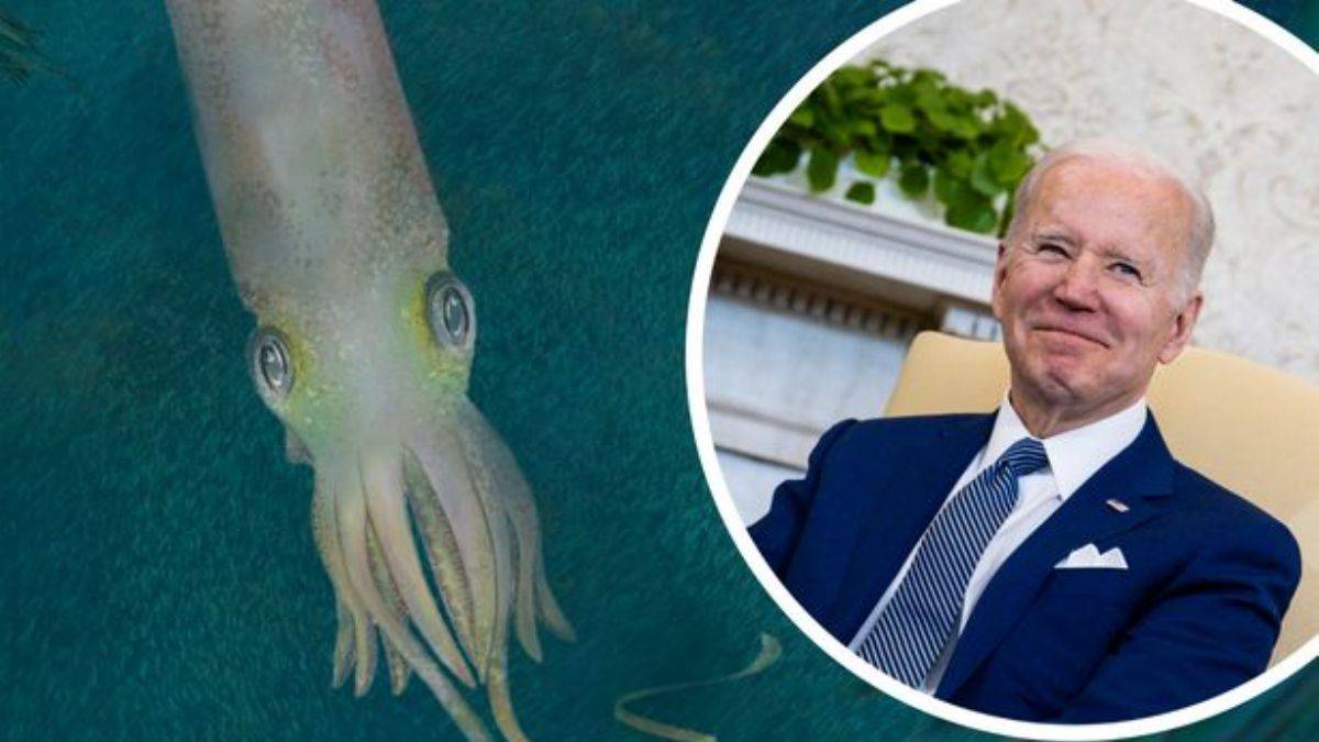 Yeni keşfedilen ahtapot fosiline Biden'ın adı verildi