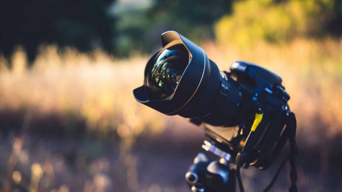 Türkiye'de İş Bulmak İçin Fotoğrafçıların İyi Bir Özgeçmişe İhtiyacı Olur Mu?