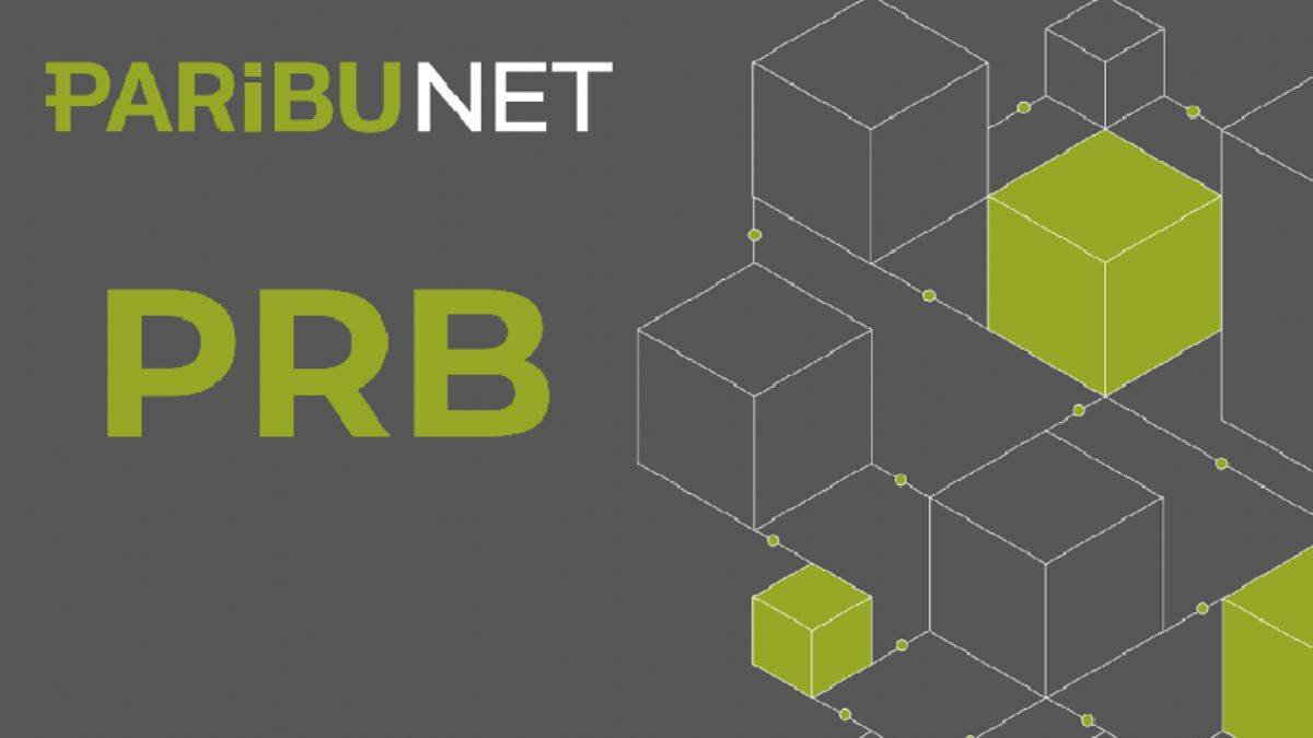 ANALİZ: Paribu coin nedir? PRB coin yorum ve geleceği
