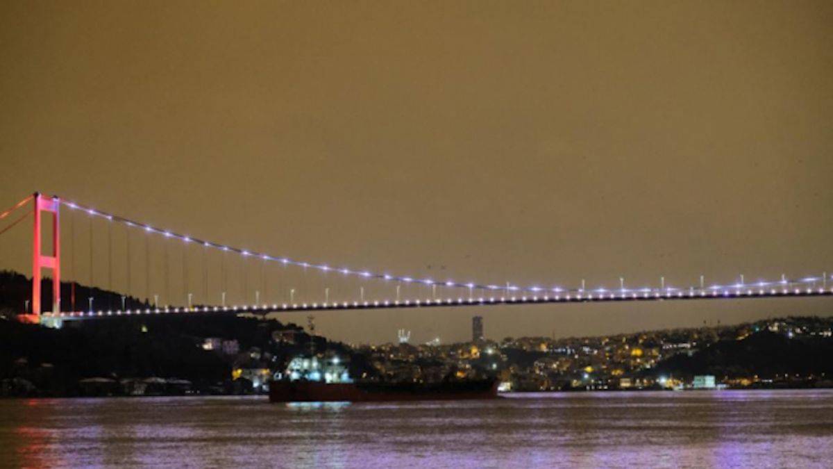 Ayçiçeği yağı yüklü gemi Türkiye'de