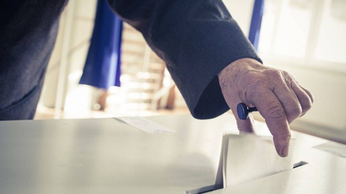 Ayşegül Çapan, İDDMİB'e başkan adayı oldu