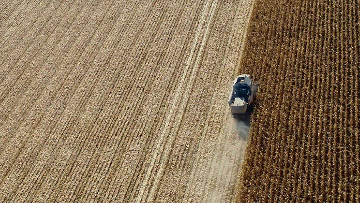 Hazine arazileri tarıma kazandırılıyor
