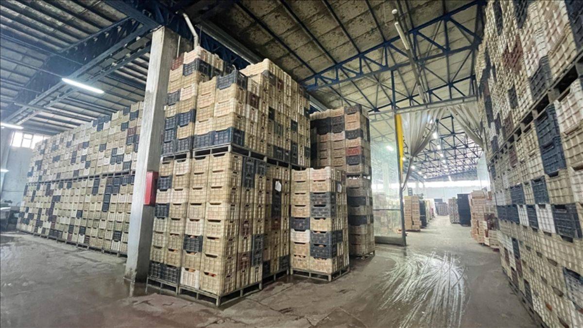 Rusya'dan bazı gıda ürünlerine geçici ihracat yasağı