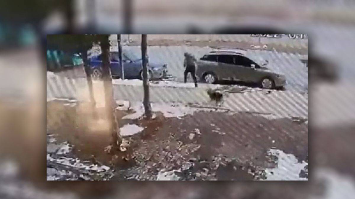 Sokak köpeğinden kaçan çocuğa otomobil çarptı