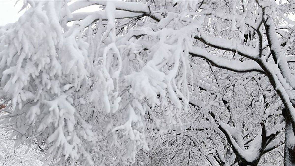 İstanbul'da okullar tatil mi? 18 Mart İstanbul'da okullar tatil mi edildi? İstanbul Valiliği kar tatili açıklaması