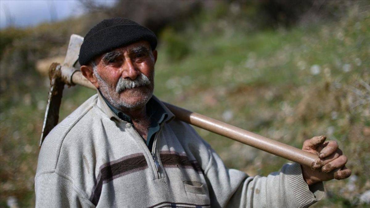 35 yılda 550 bin fidan dikti