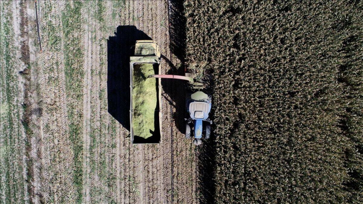 Rusya-Ukrayna savaşı tarımı atağa geçirdi