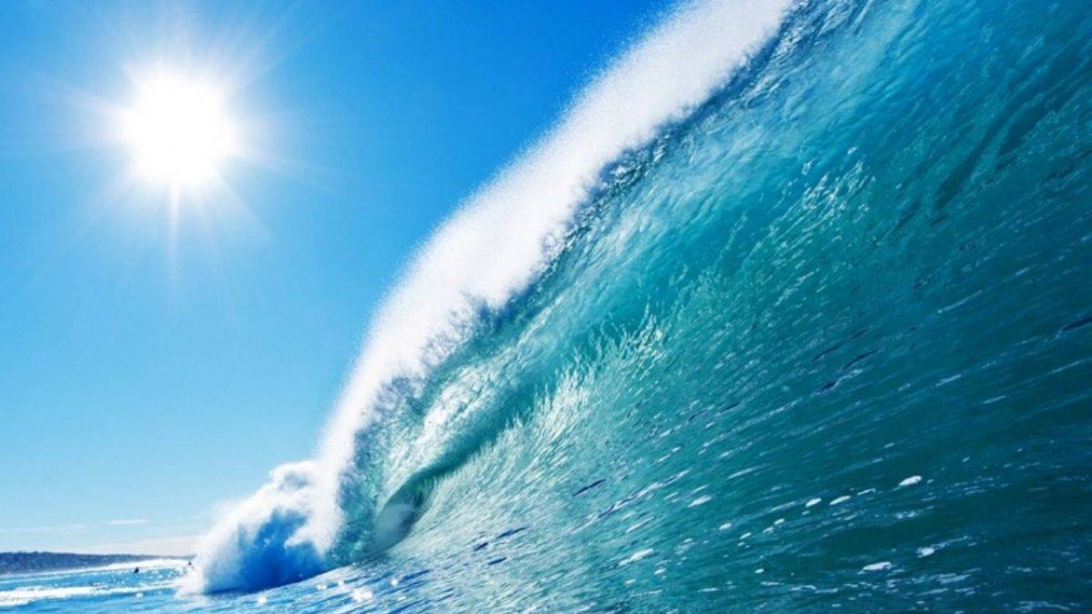 Dünya Su günü ne zamandır? Dünya Su gününün anlamı nedir?