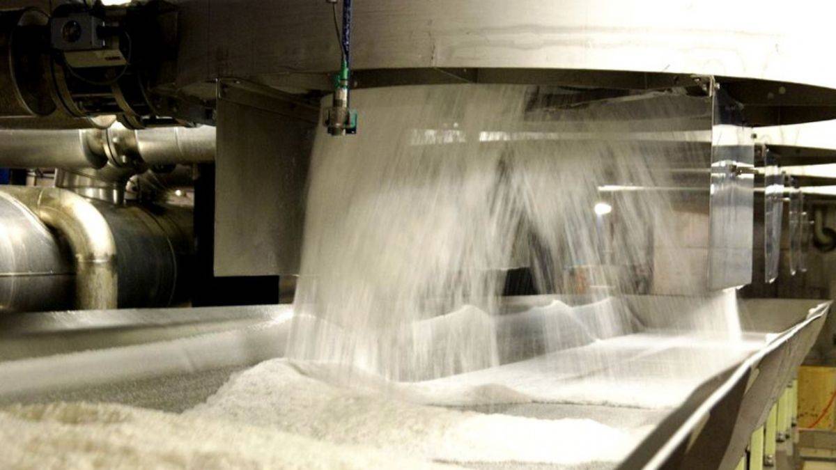 Özelleştirme, krizin temel sebebi