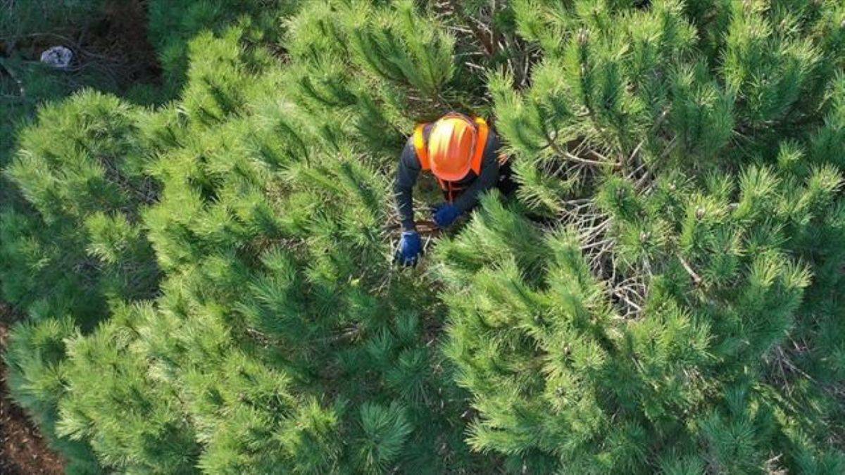 Tarım ve Orman Bakanlığı'na 5 bin personel alınacak