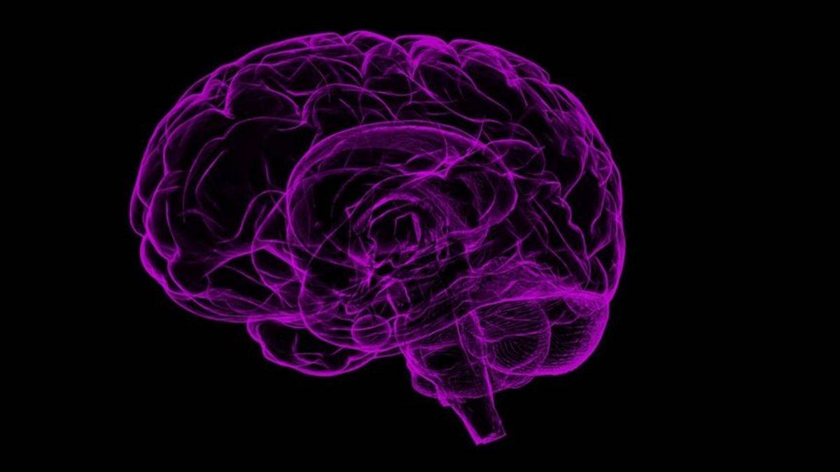 Epilepsi ile ilgili yanlış bilinenler